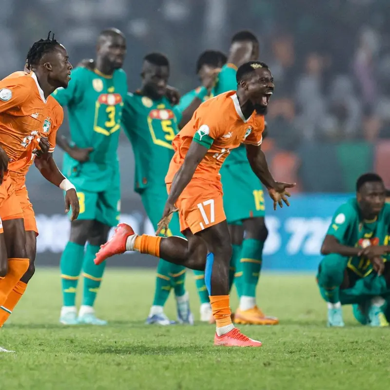 科特迪瓦队以不败战绩摘得非洲杯冠军