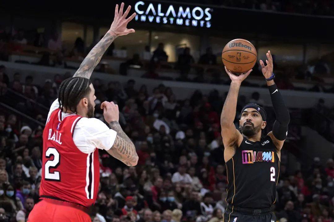 关于玫瑰花多点开，公牛队取胜节奏不断延续的信息