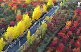 凯美恩邦吉，阿马埃西达获得了积分榜第二